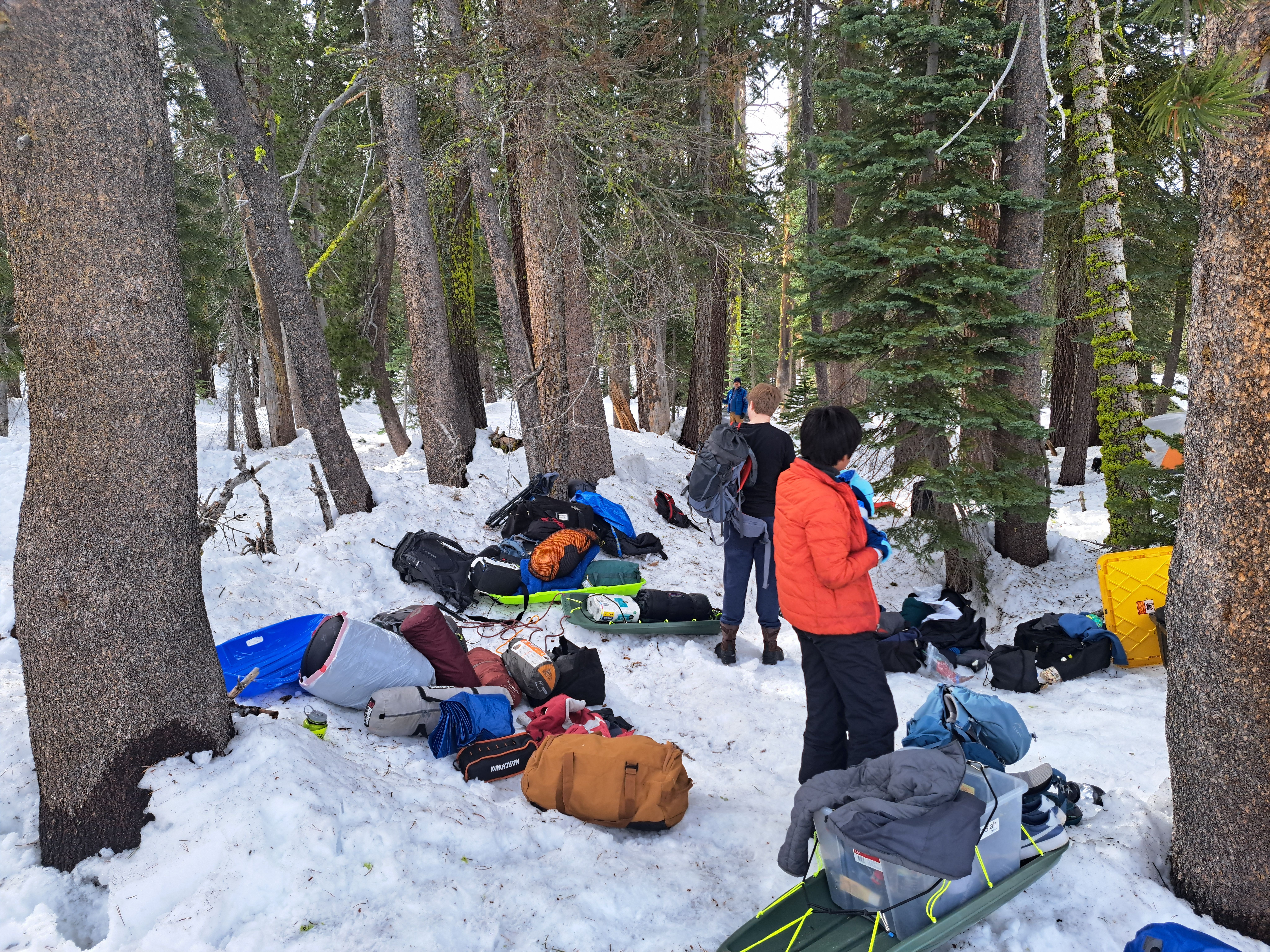 Missing alternative text