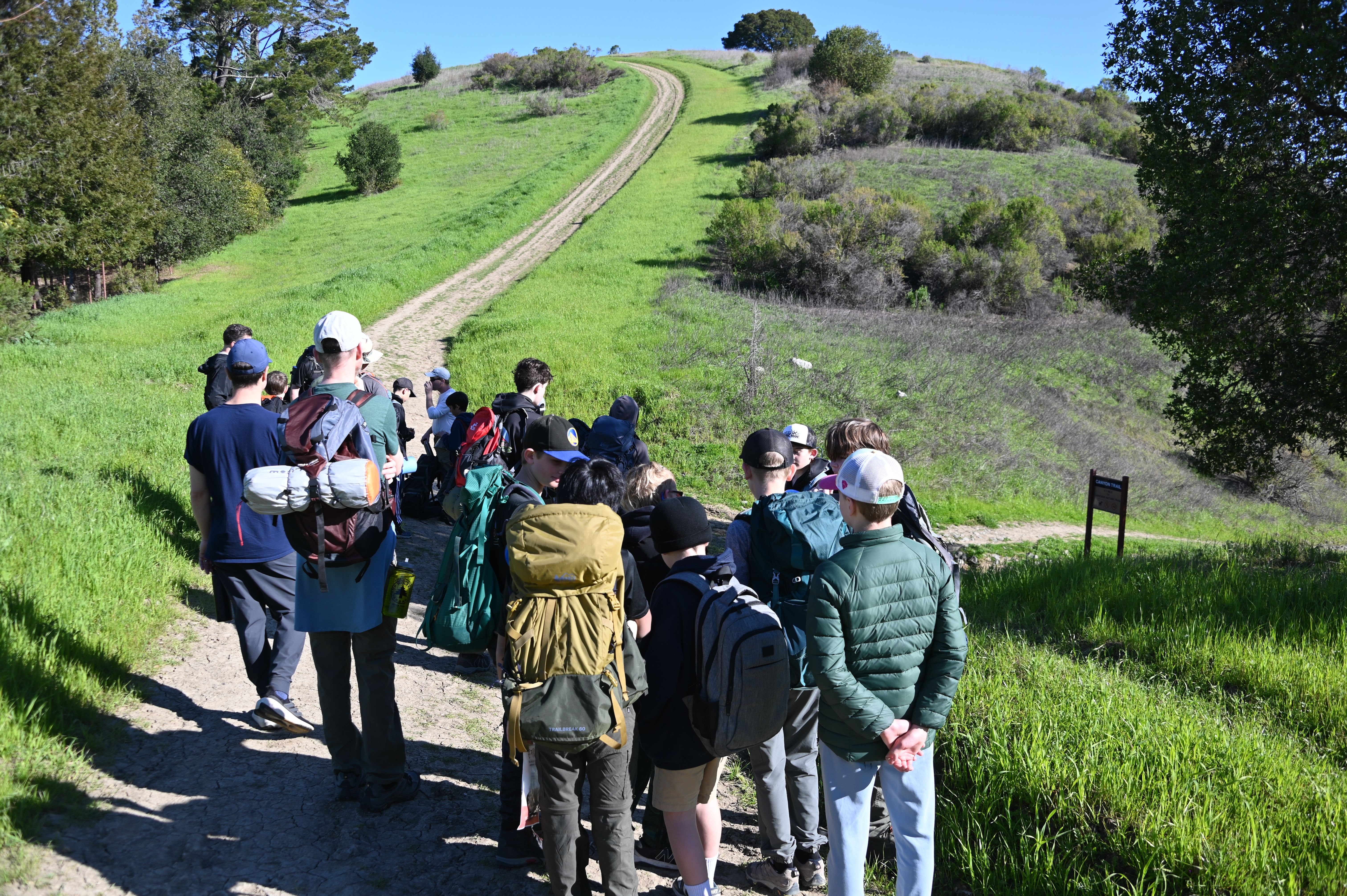 Missing alternative text