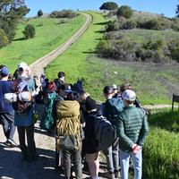 Missing alternative text