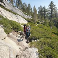 Missing alternative text