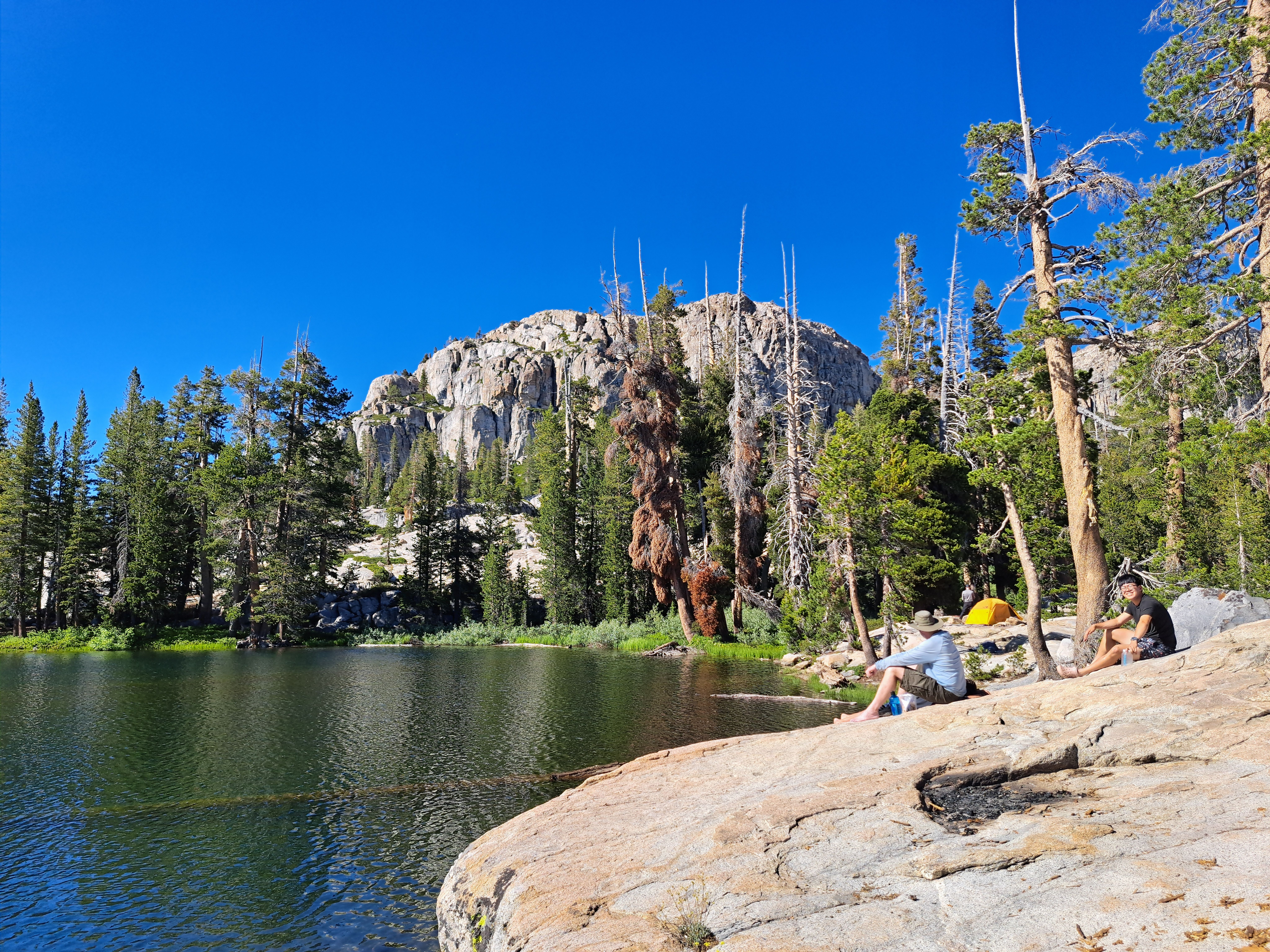 Missing alternative text