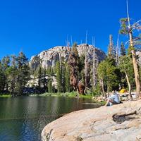 Missing alternative text