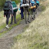 Missing alternative text