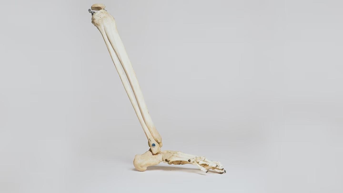 Podiatrist VS Orthopedist? Whats the difference? — guide from The Foot Lab podiatry clinic in Glossop