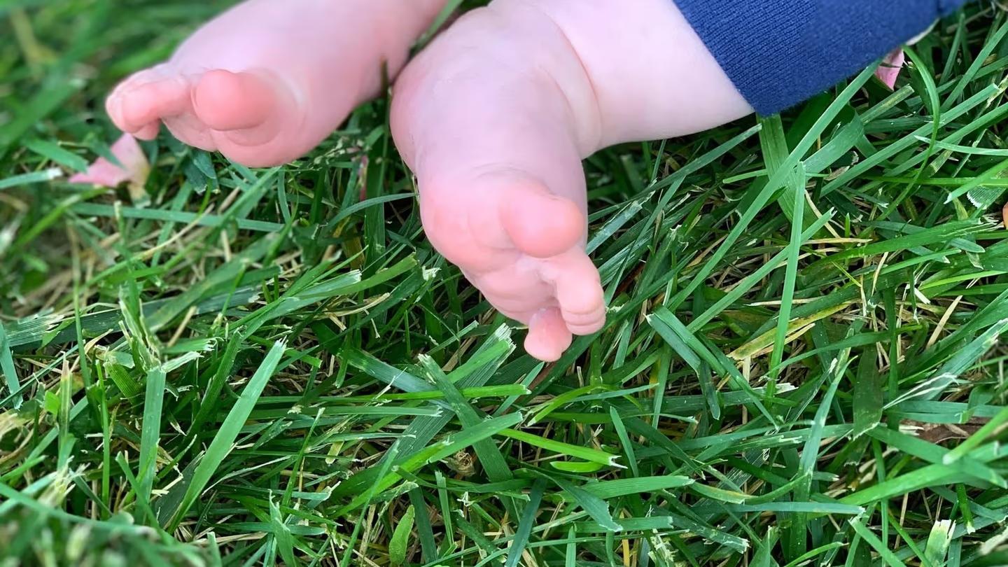 Ingrown Toenails — guide from The Foot Lab podiatry clinic in Glossop