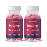 Live Rosin Delta 9 THC Gummies (Indica)