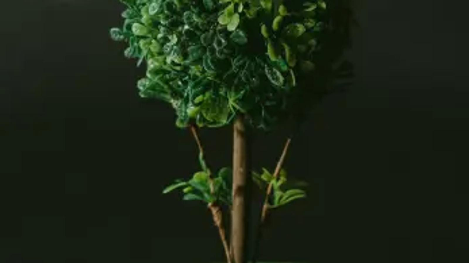 Building a greener internet - is your practice sustainable?