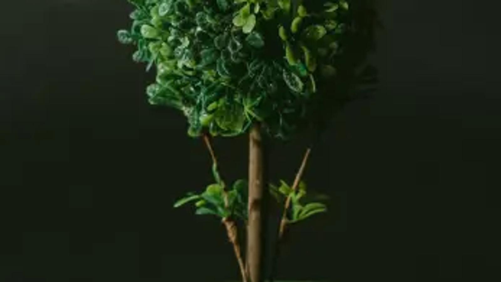Building a greener internet - is your practice sustainable?