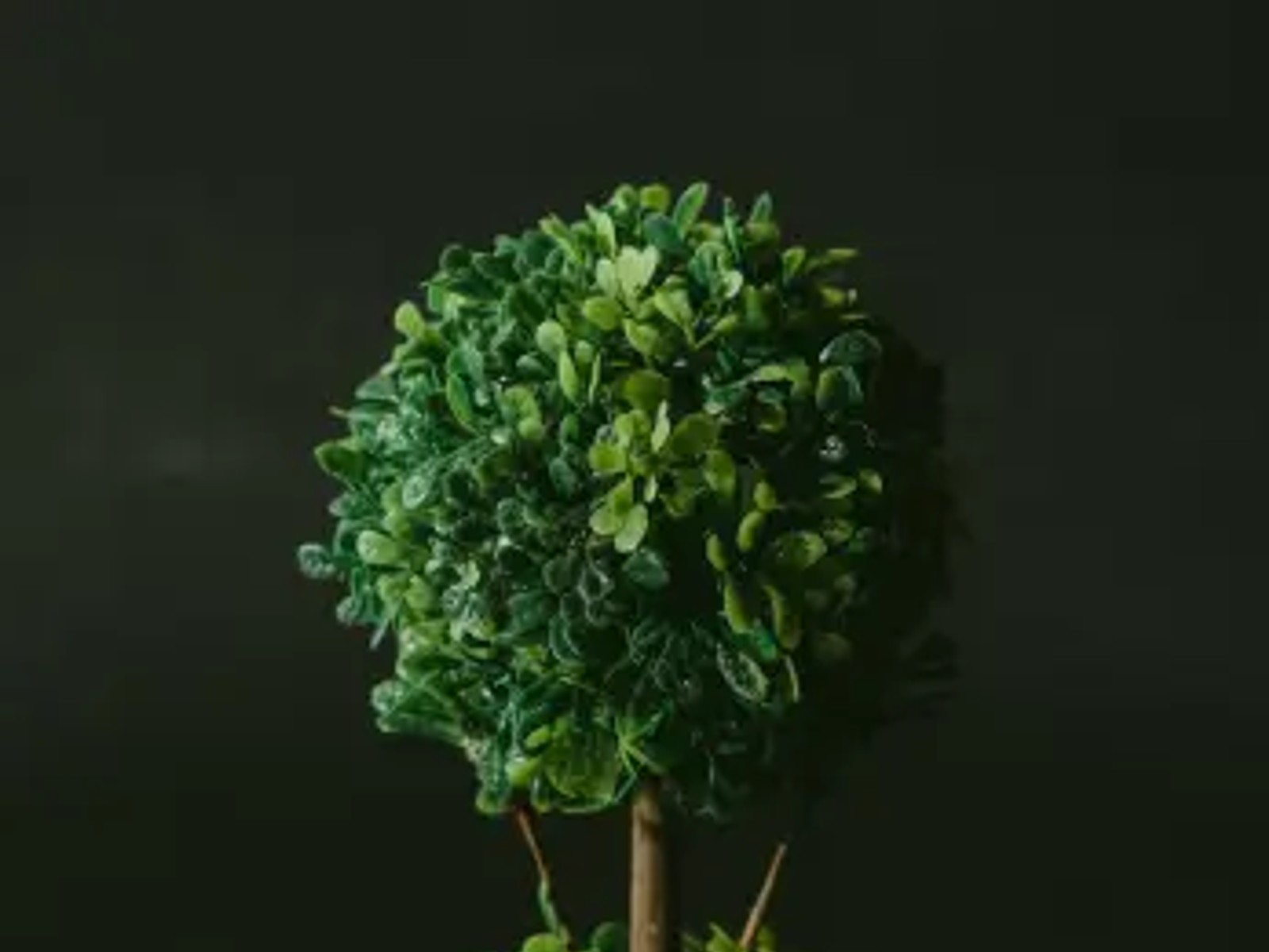 Building a greener internet - is your practice sustainable?