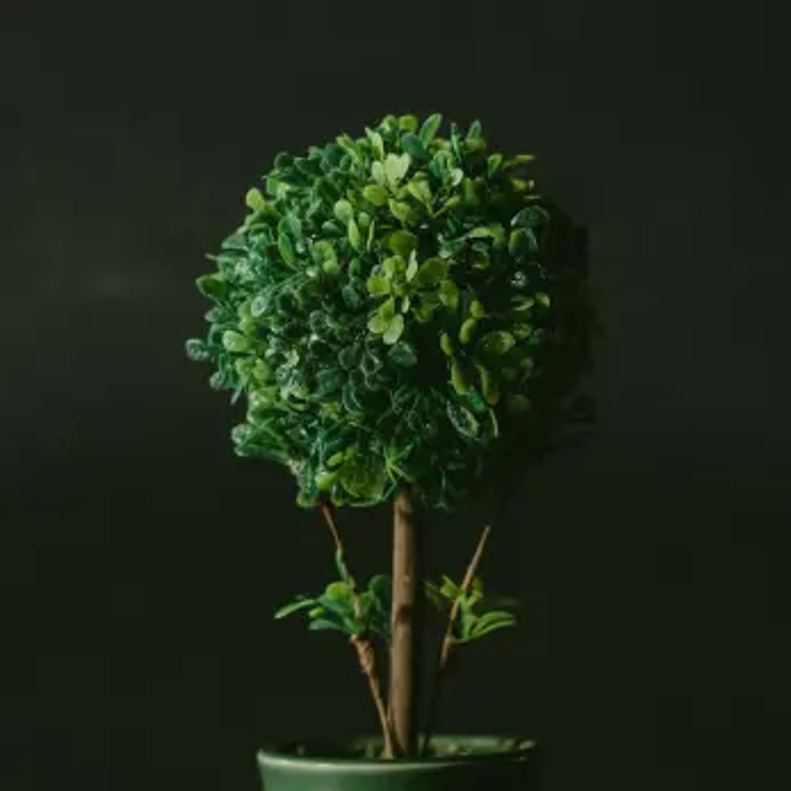 Building a greener internet - is your practice sustainable?