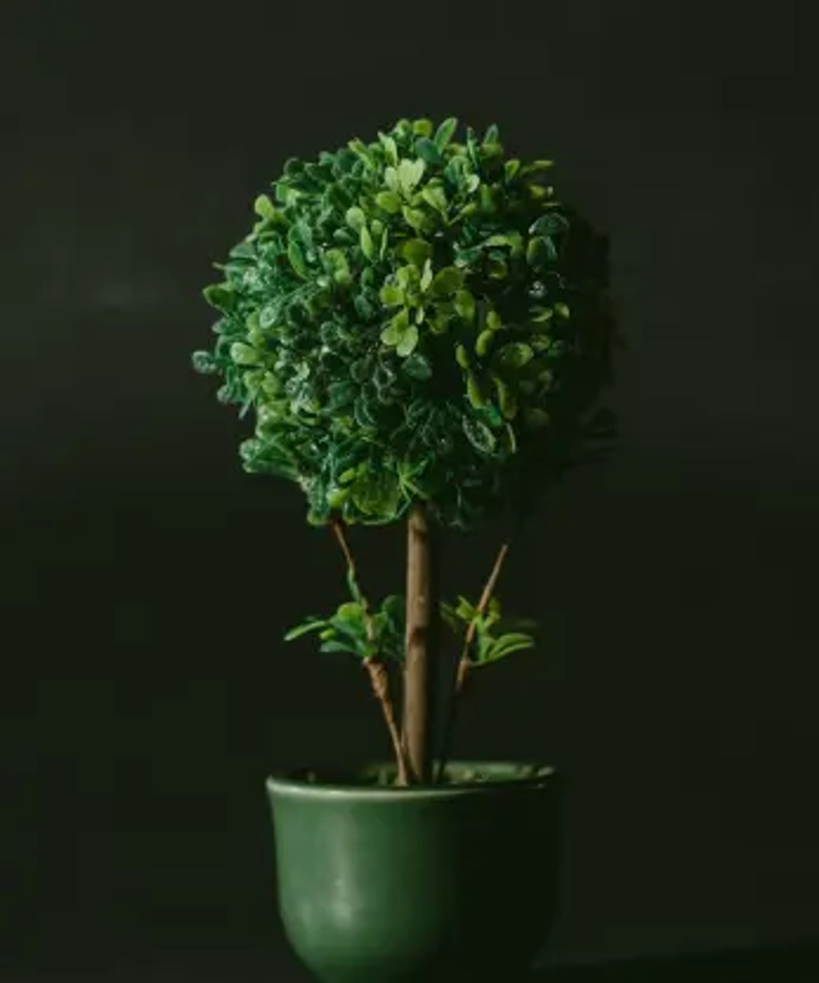 Building a greener internet - is your practice sustainable?