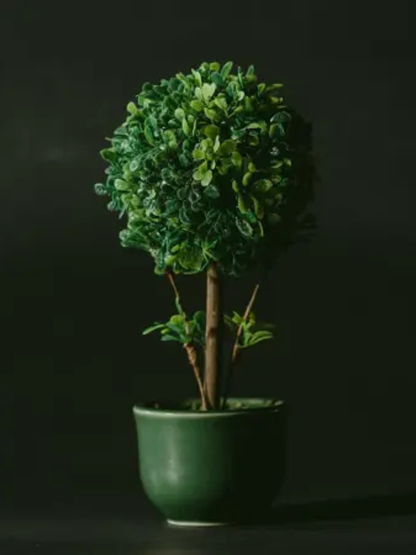 Building a greener internet - is your practice sustainable?
