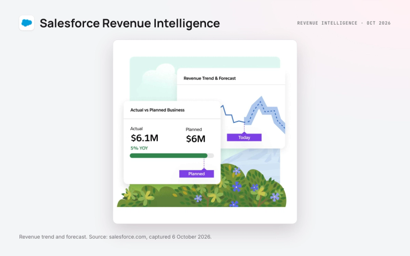 Salesforce revenue intelligence and Conversation Insights