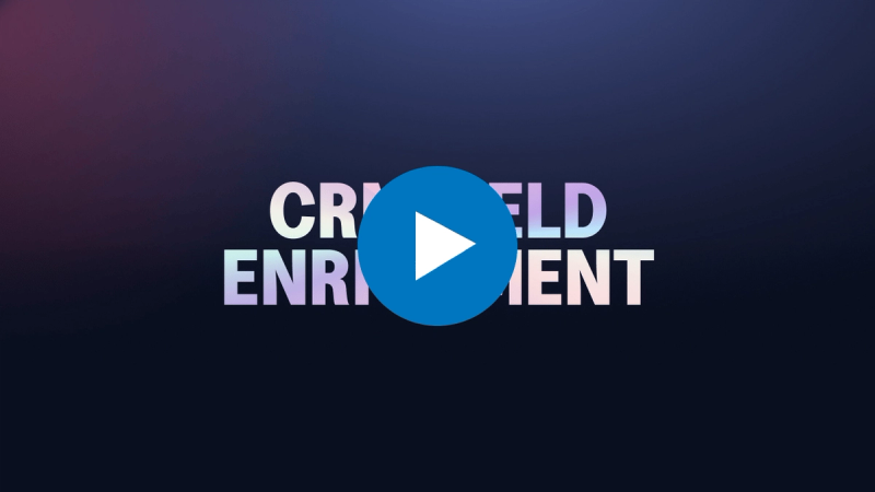CRM Field Enrichment Email Play Thumbnail (1).png