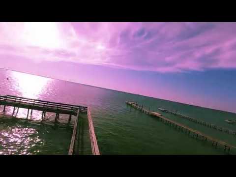 Where did all the fireflies go - Florida