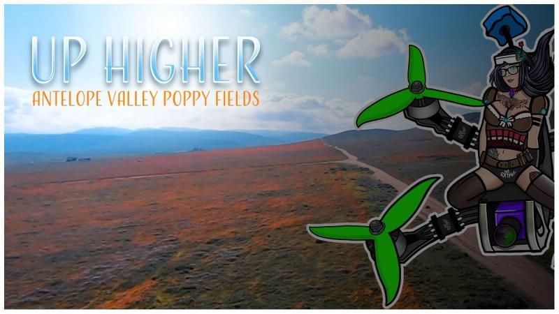 Up Higher - Antelope Valley Poppy Fields