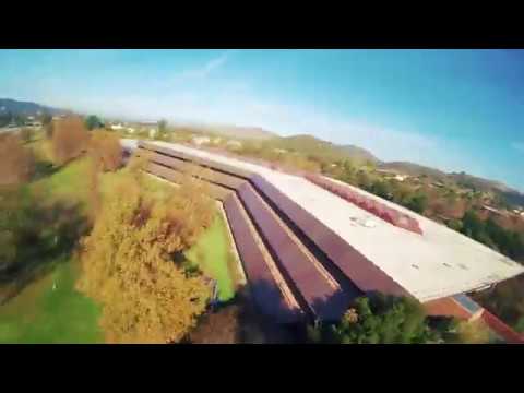 Pocket Full Of Misery - T.O. Office Park