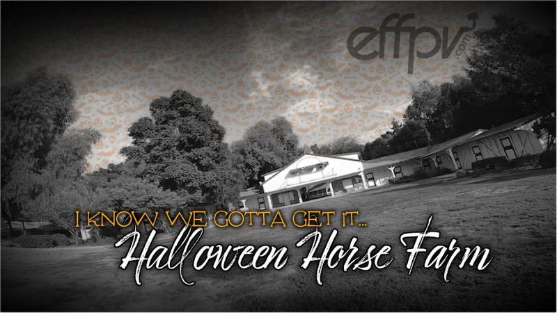 I know we gotta get it - Halloween horse farm