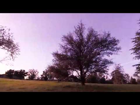 Where Ya At?! - Balboa Sunset Session