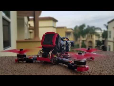 Flight of the Rooster