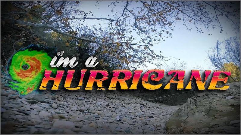 I'm a hurricane - Tampaland