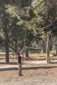 Matt (TRUB) retrieving drone from tree