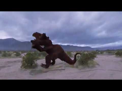 Riding with the King - Borrego Springs, CA