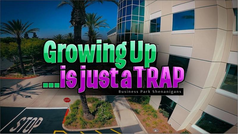 Growing up is just a trap -  Business Park Shenanigans