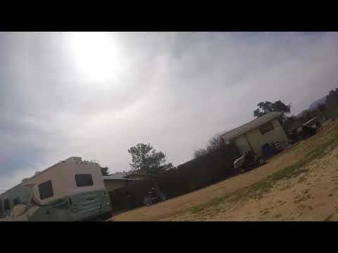 Quad In Face