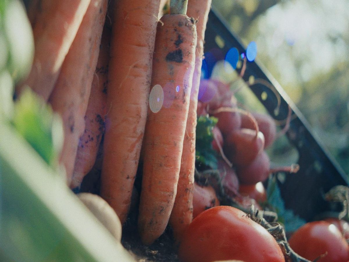 SevenSwans - Farm To Table still 2