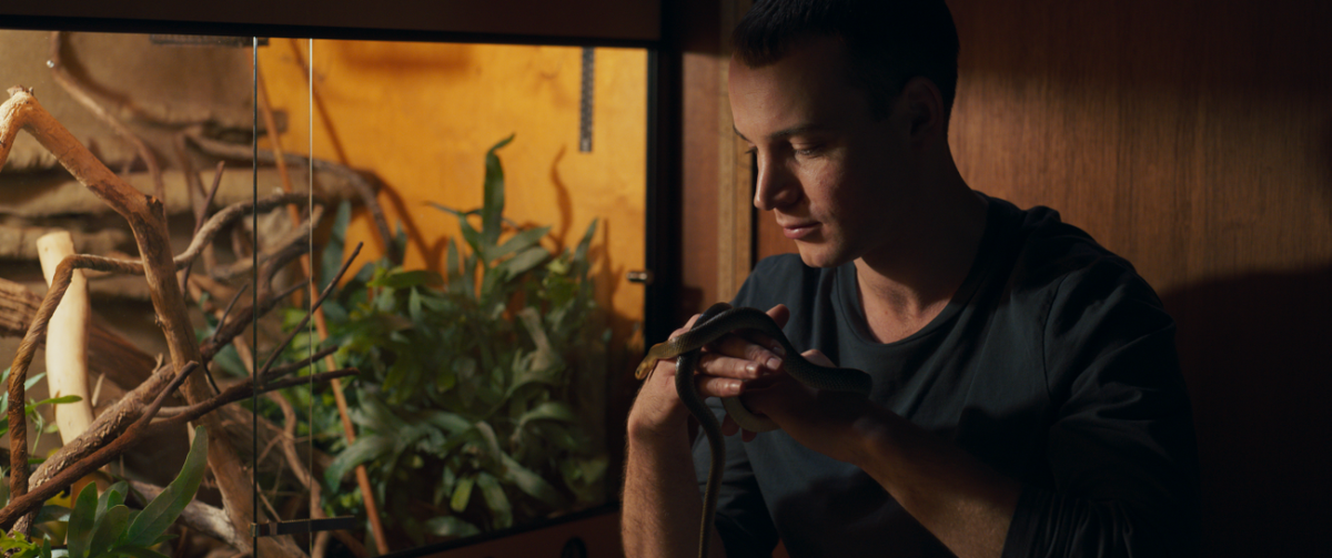 Der Wald in mir still 1