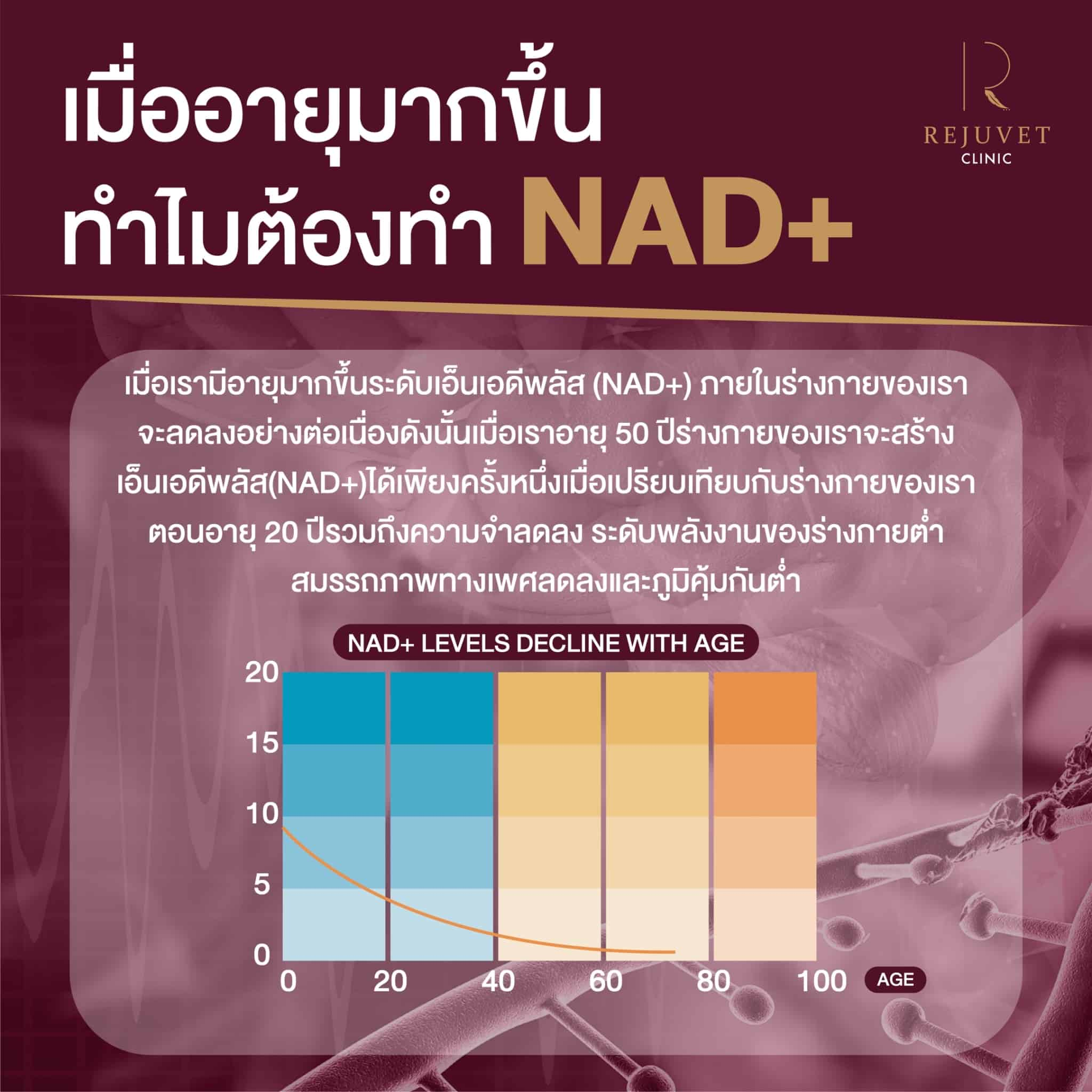 NAD + Premium Brain Booster 