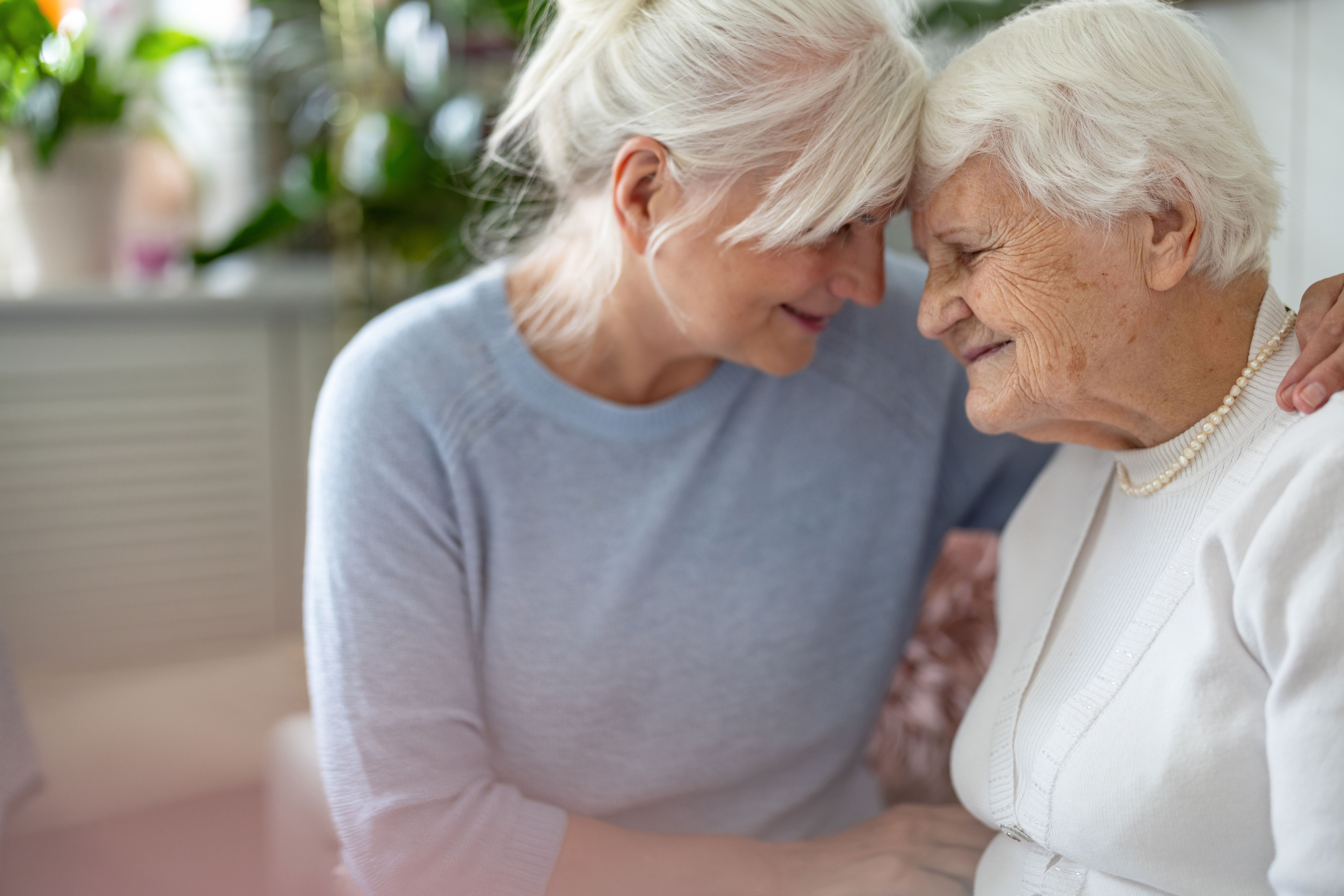 Independent specialist advice