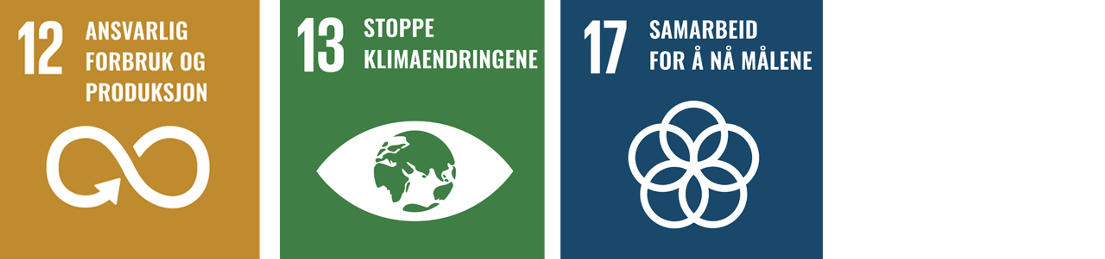 TRYs prioriterte bærekraftsmål innenfor miljø