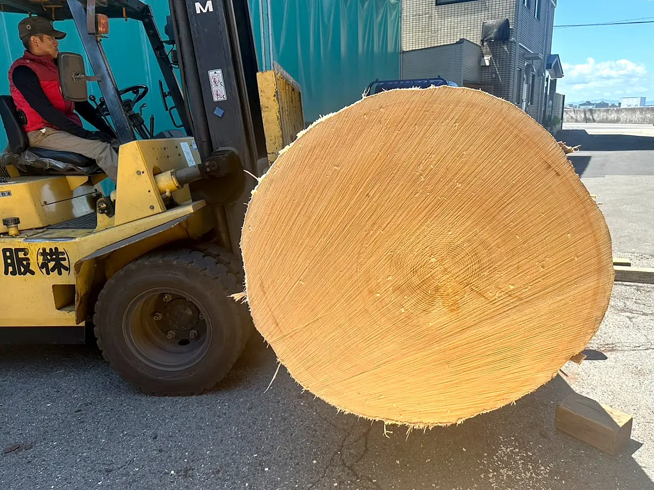 横切りした木口