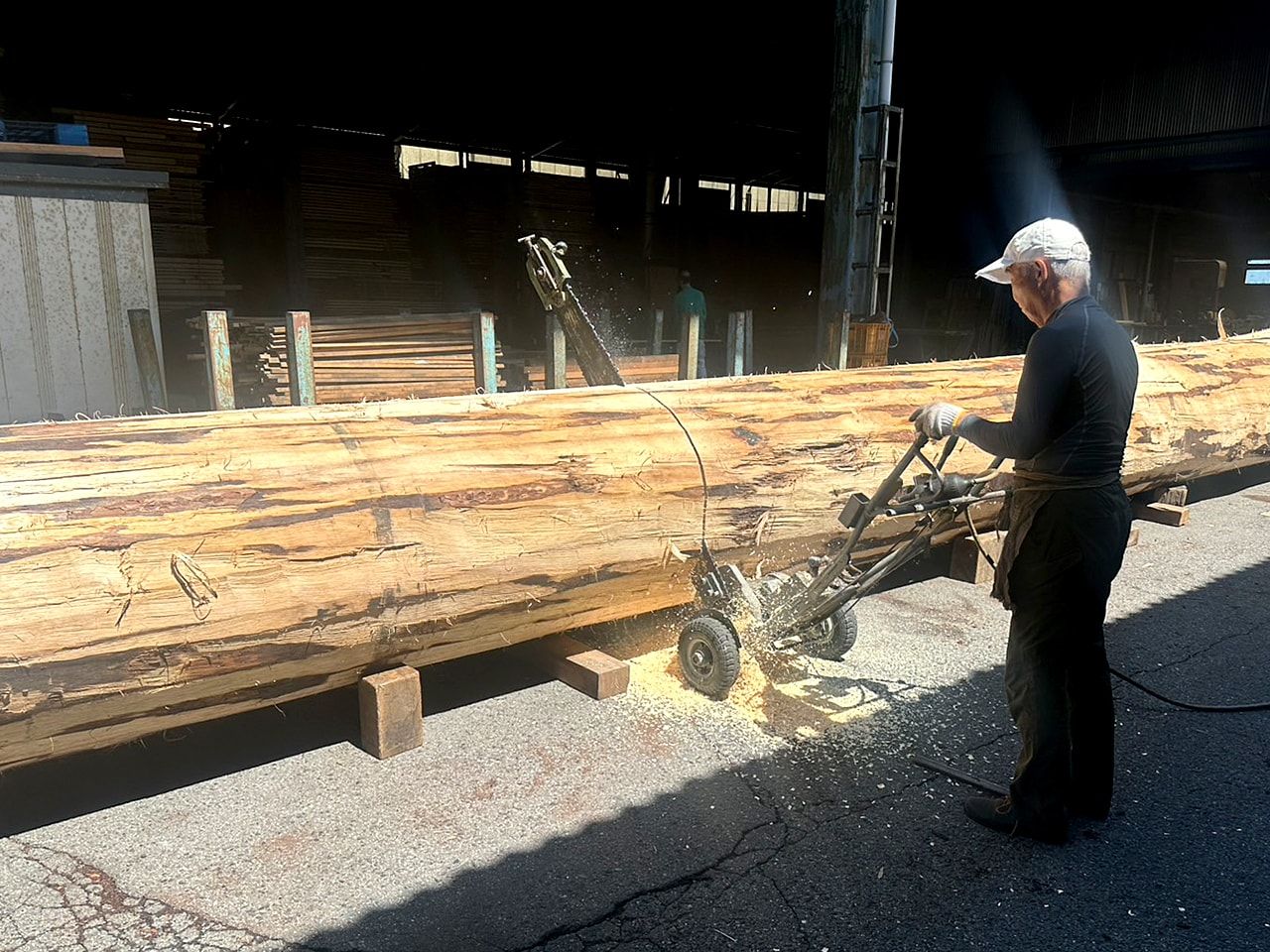 12mの原木を製材サイズに玉切り