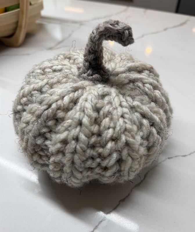 Woolly Oatmeal Pumpkin