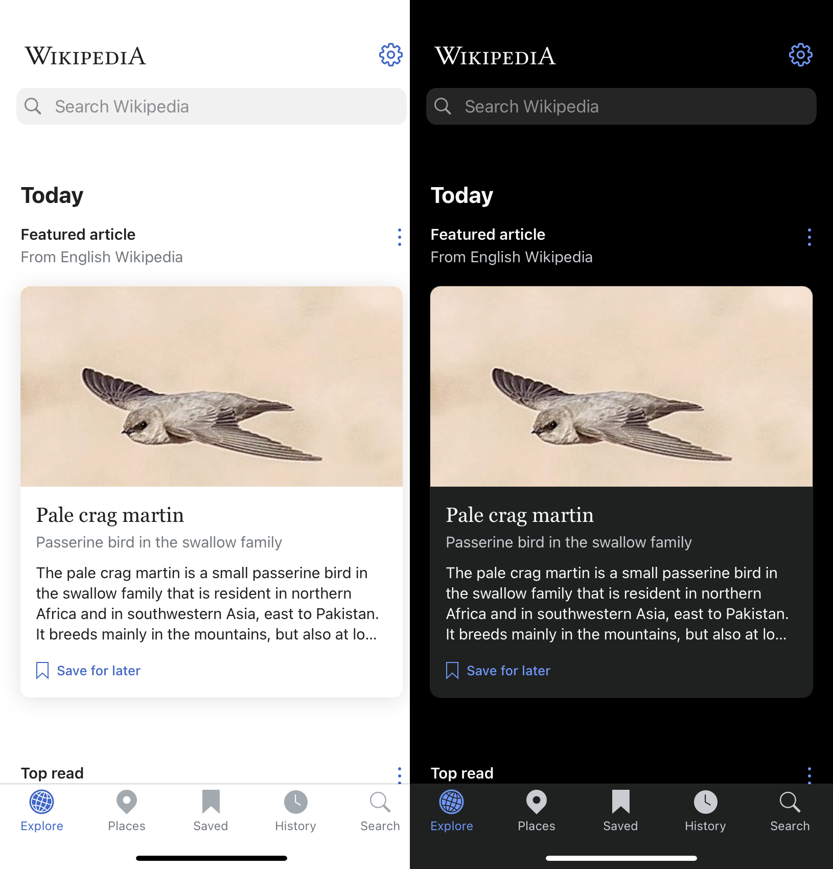 Wikipedia's mobile home page in light mode and Dark Mode