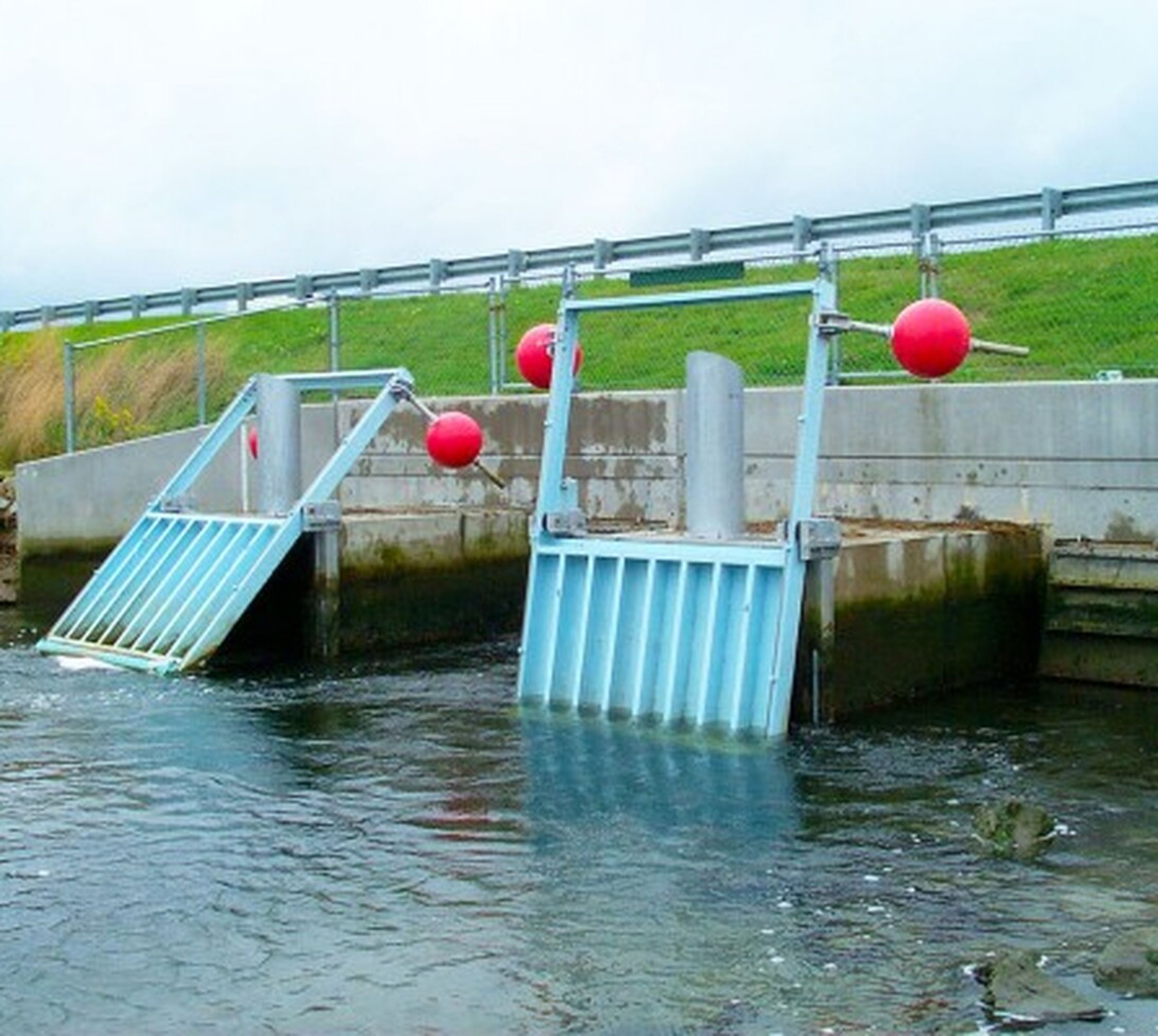 Self Regulating Tide Gates