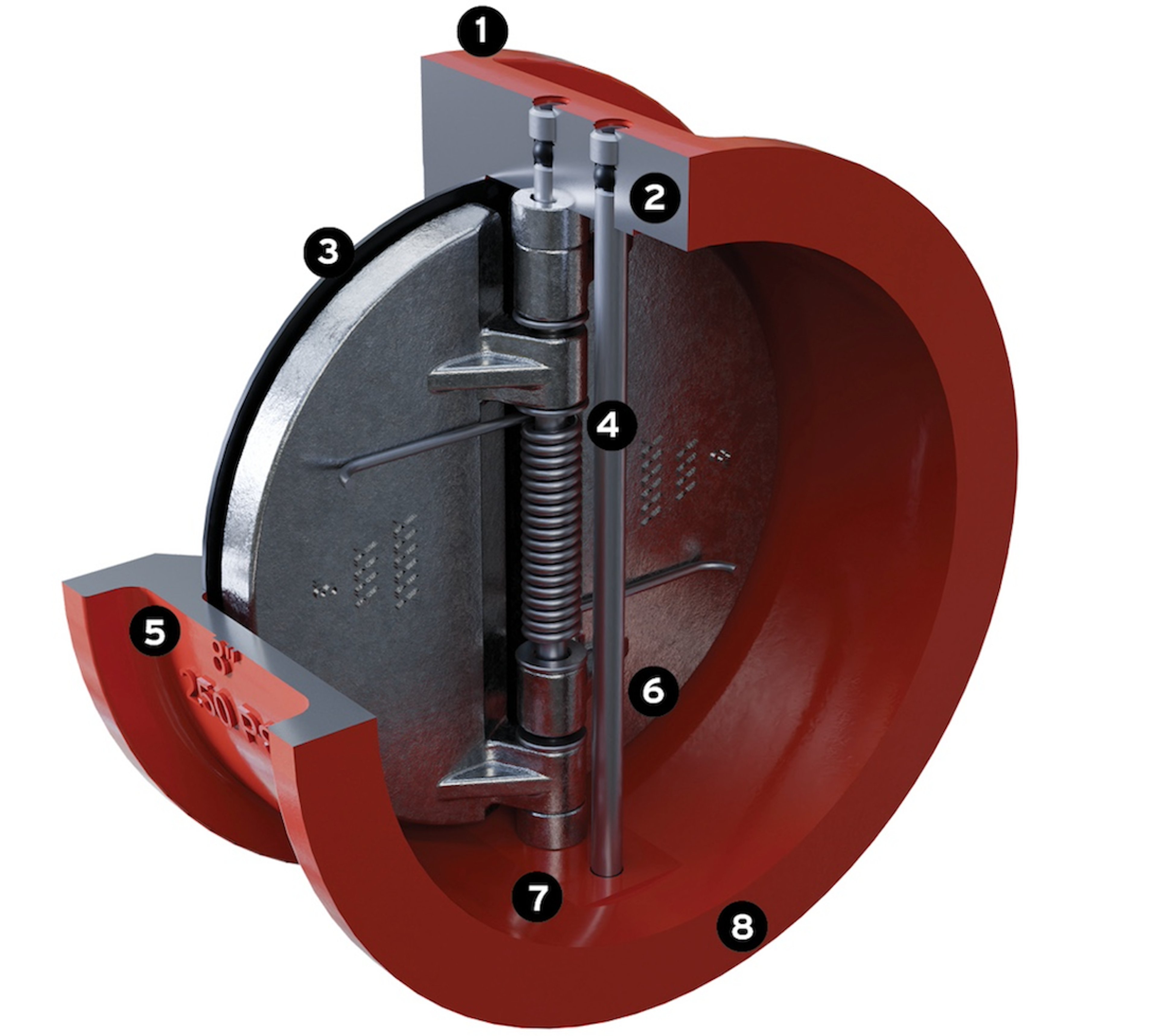 Double Disc Swing Check Valves