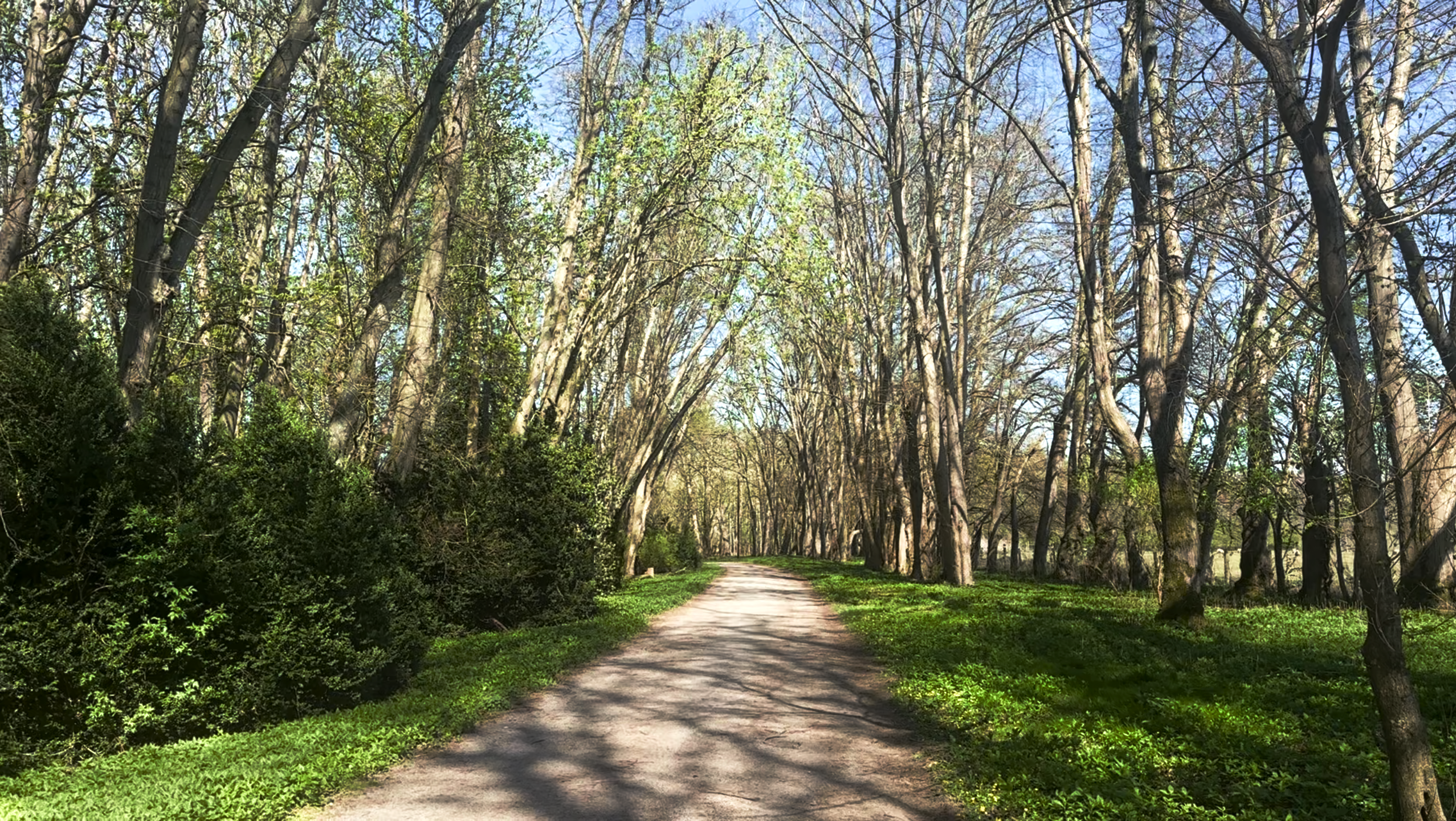 The newly made walk from Churchill Court to through the grounds to Bleinham Palace