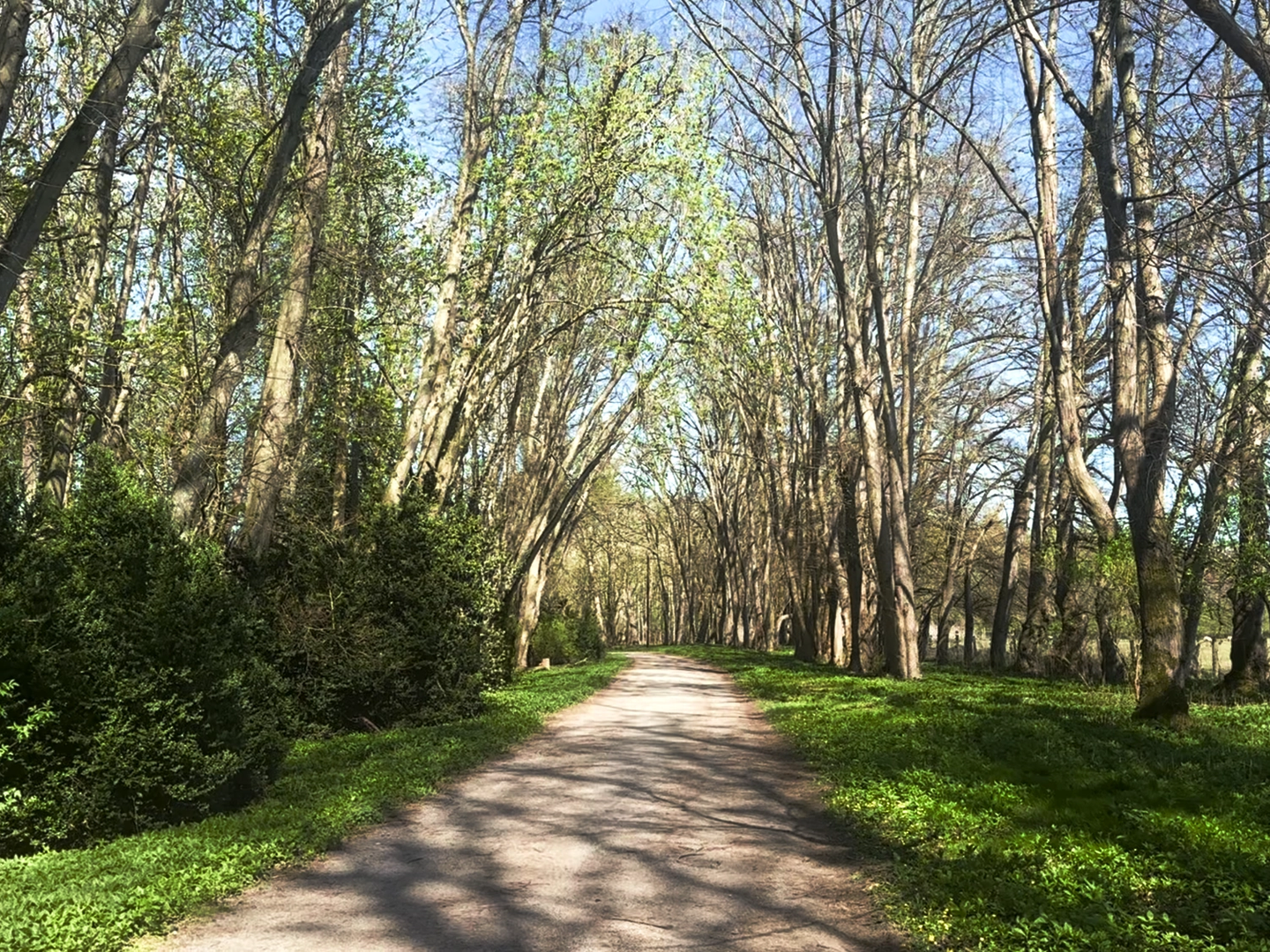 The newly made walk from Churchill Court to through the grounds to Bleinham Palace