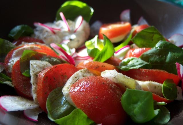 Salat mit Tomaten, Mozzarella und Basilikum