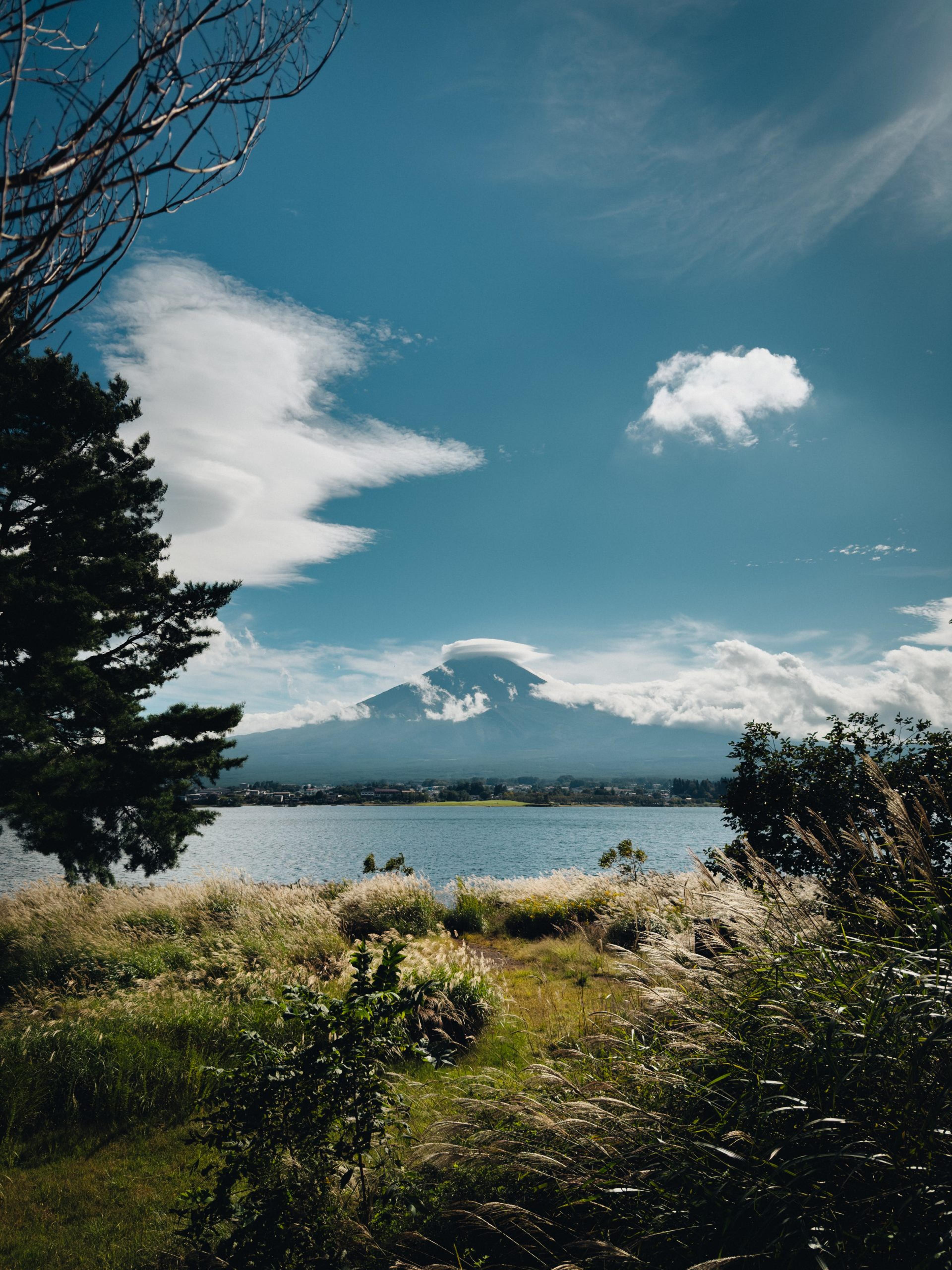 Mount Fuji seen across a lake, framed by tall grass and trees under a blue sky