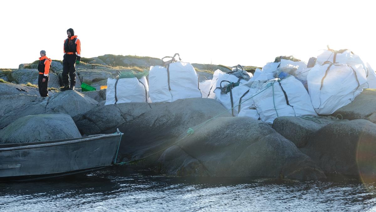 Bildet er tatt fra sjøsiden: mange bigbags med ryddet avfall ved siden av to ryddere på svaberg