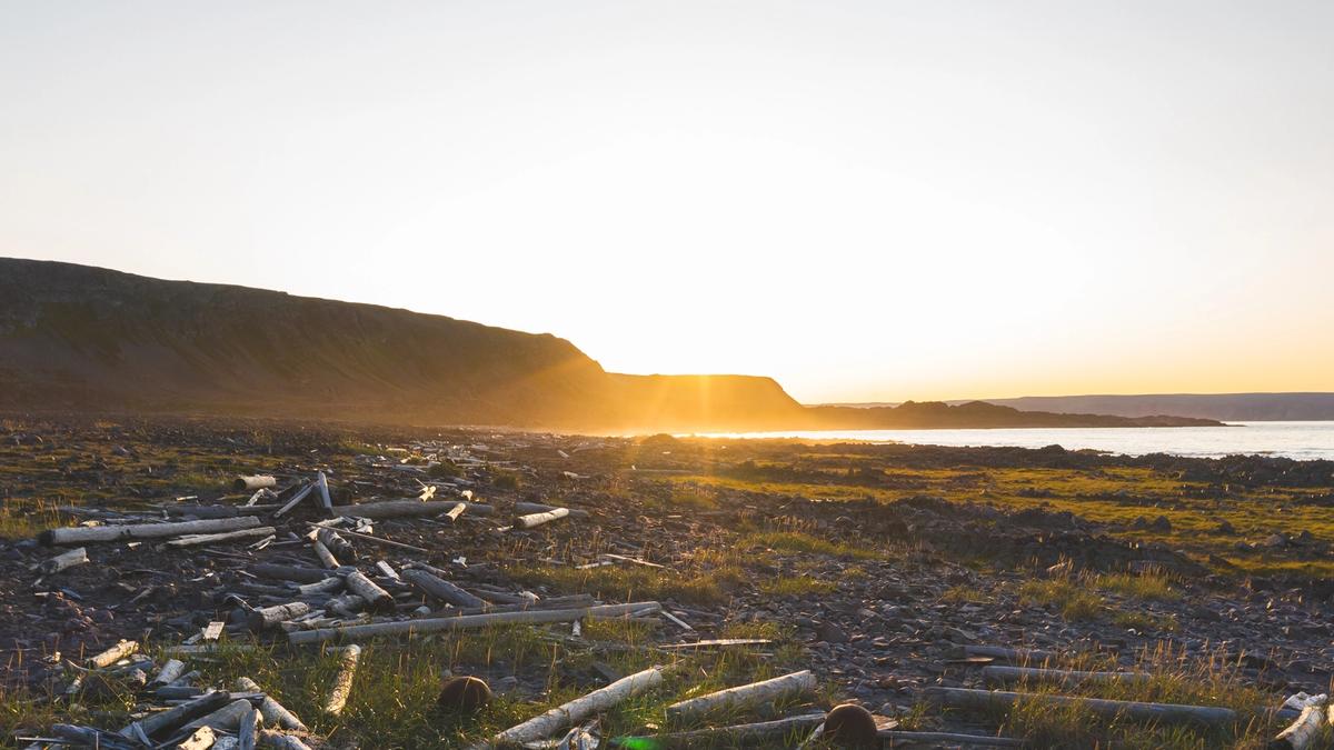 Flatt kystlandskap i solnedgang. Store trestokker ligger strødd på land. Fra ryddetokt i Ytre syltevika nasjonalpark i Finnmark   Foto: Senter for oljevern og marint miljø 