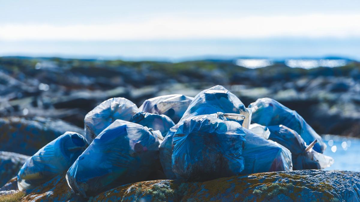 Filled tonne bags along the coast.