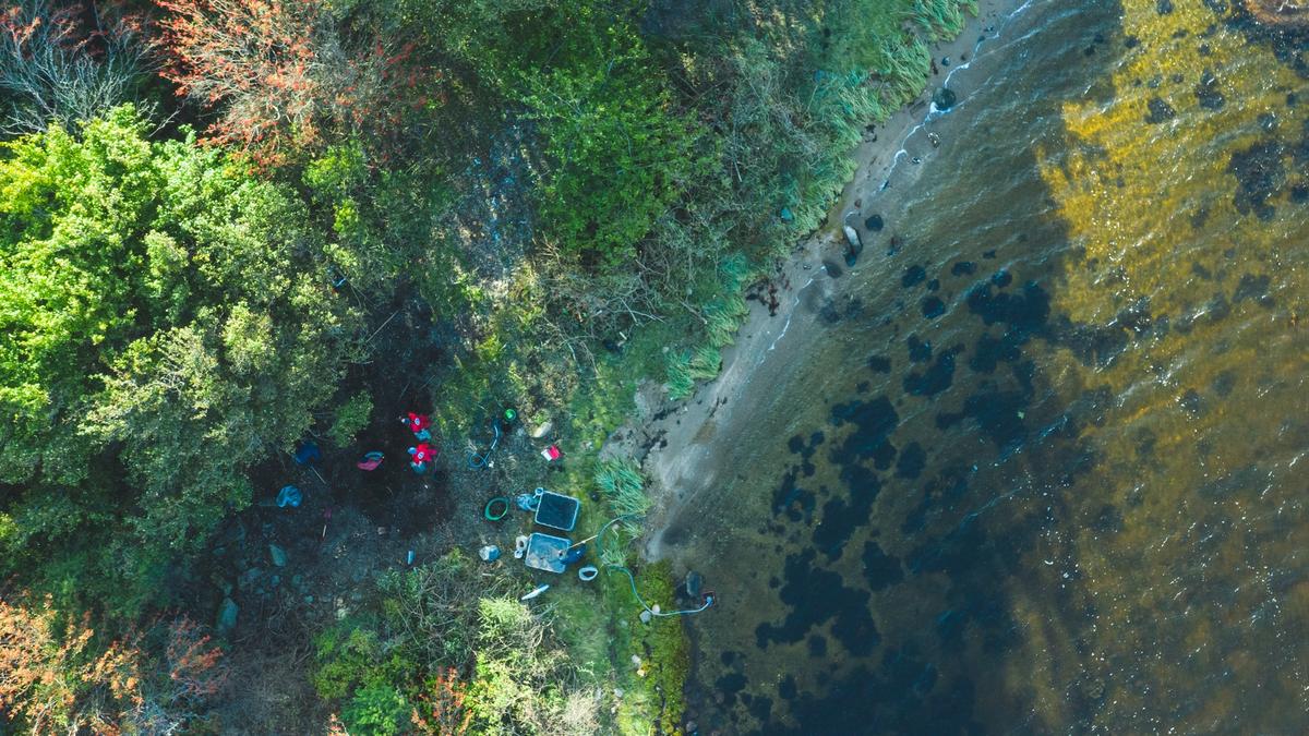 Dronebilde av folk som rydder en strand