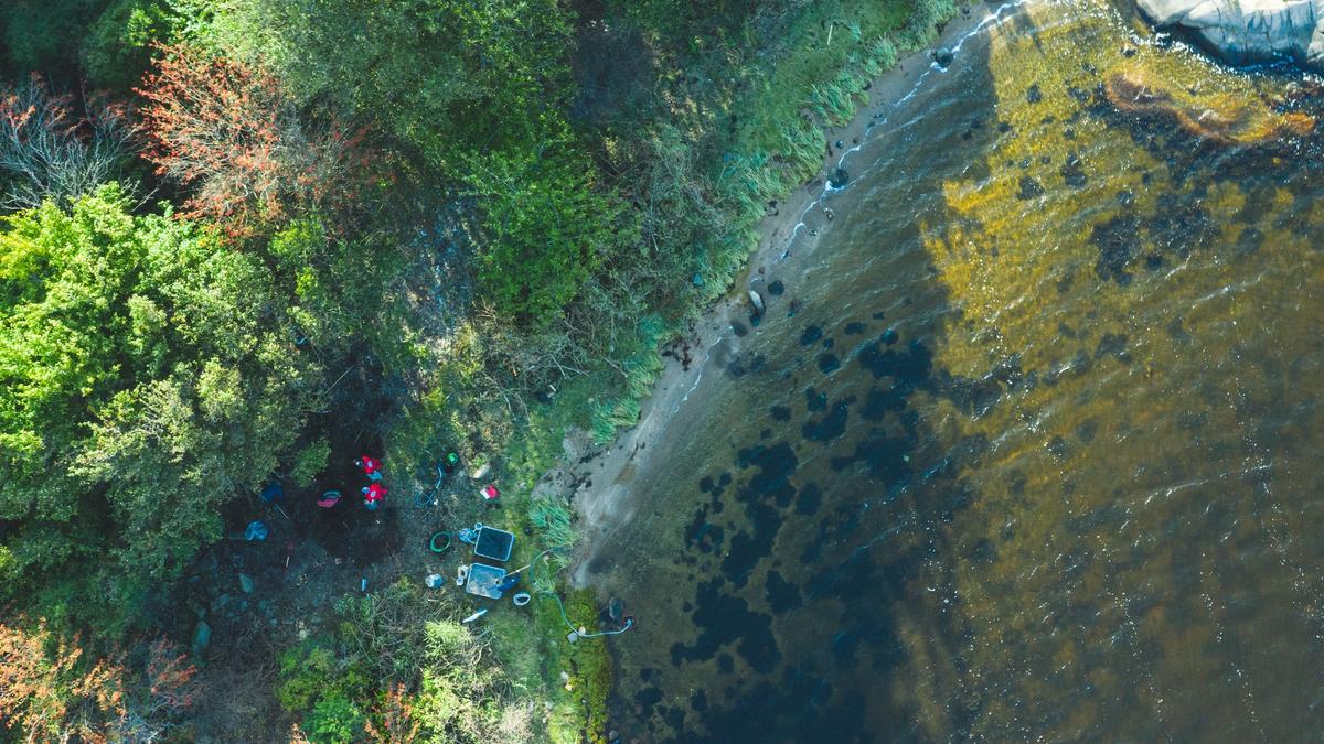 Dronebilde av en strand med masse vegetasjon og trær. Personer i røde og oransje arbeidsklær rydder et område.