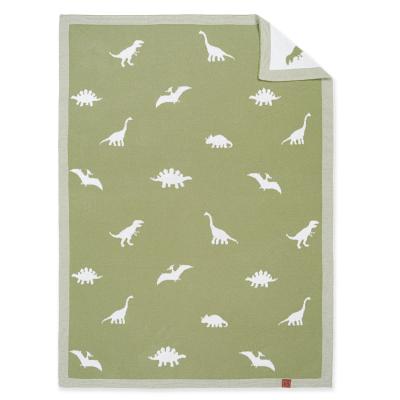 Dinosaur Baby Blankets